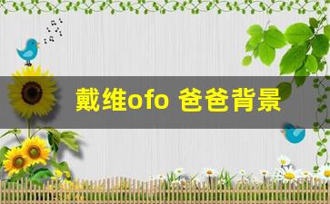 戴维ofo 爸爸背景_戴威的家世和经历